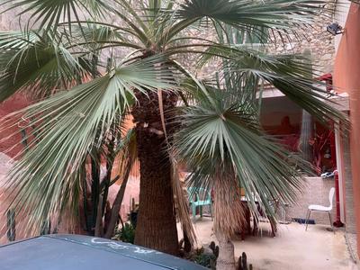 Maison - 115 m² - 6 pièces