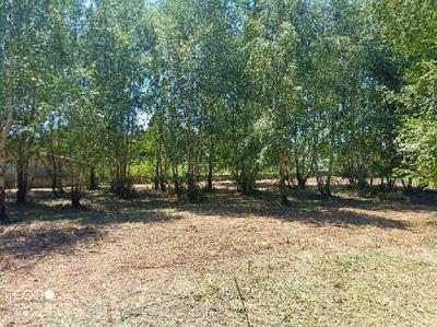 Terrain constructible - 2 275 m²