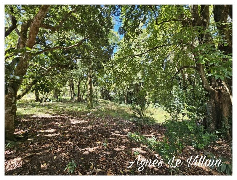 Terrain constructible - 3 502 m²