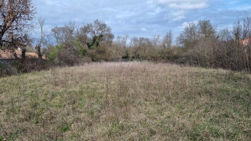 Terrain - 1 560 m²