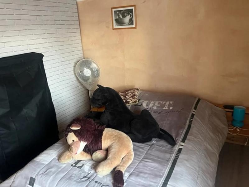 Maison - 180 m² - 7 pièces