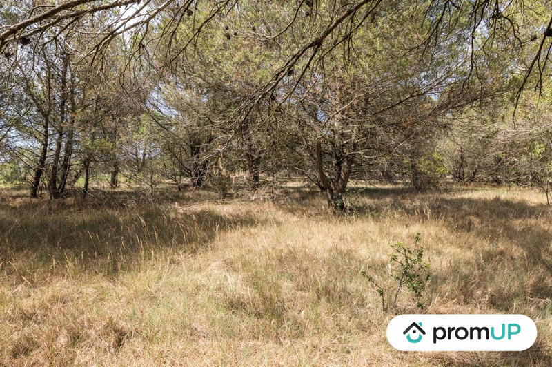 Terrain de loisirs - 8 952 m²