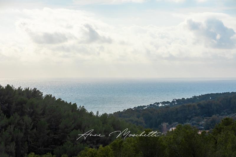 Maison - 450 m² - 8 pièces