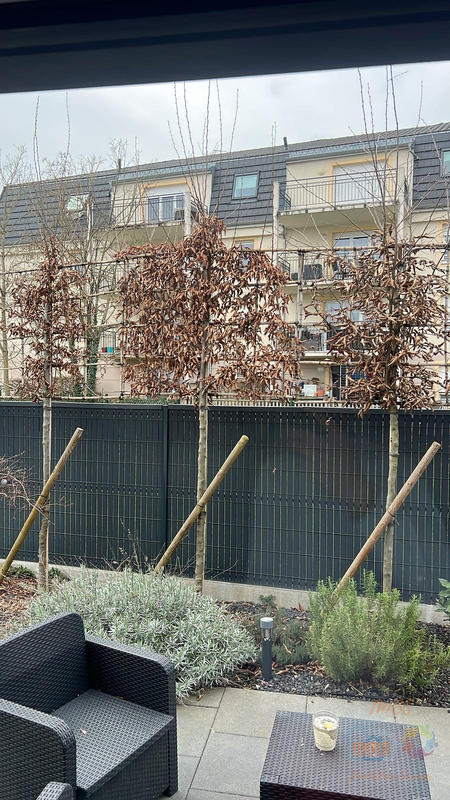 Maison contemporaine - 106 m² - 4 pièces