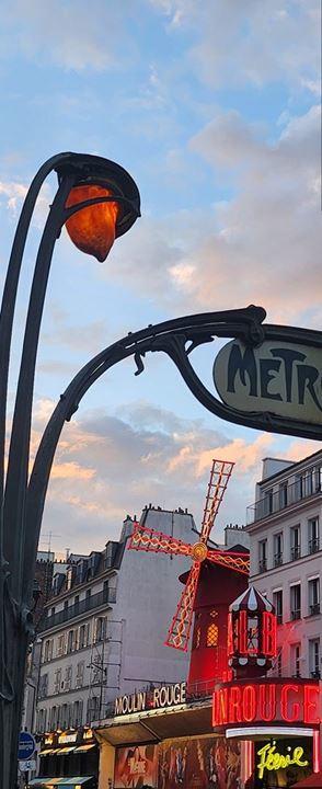 Appartement - 21 m² - 1 pièce