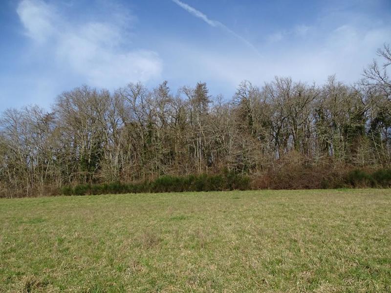 Terrain constructible - 19 000 m²