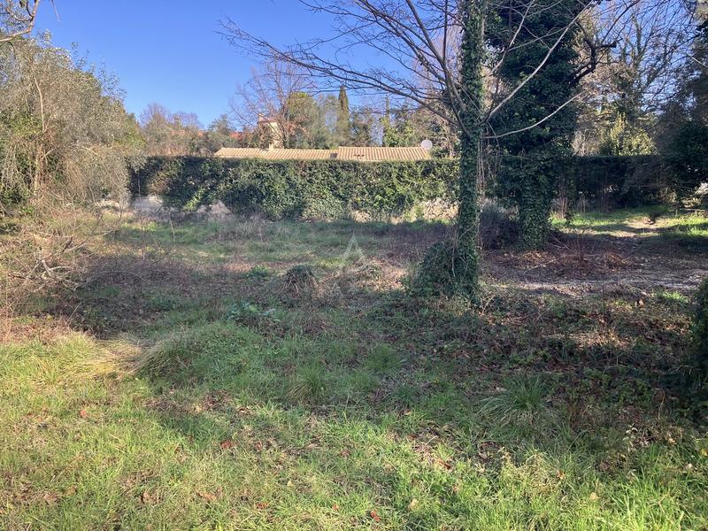 Terrain constructible - 11 000 m²
