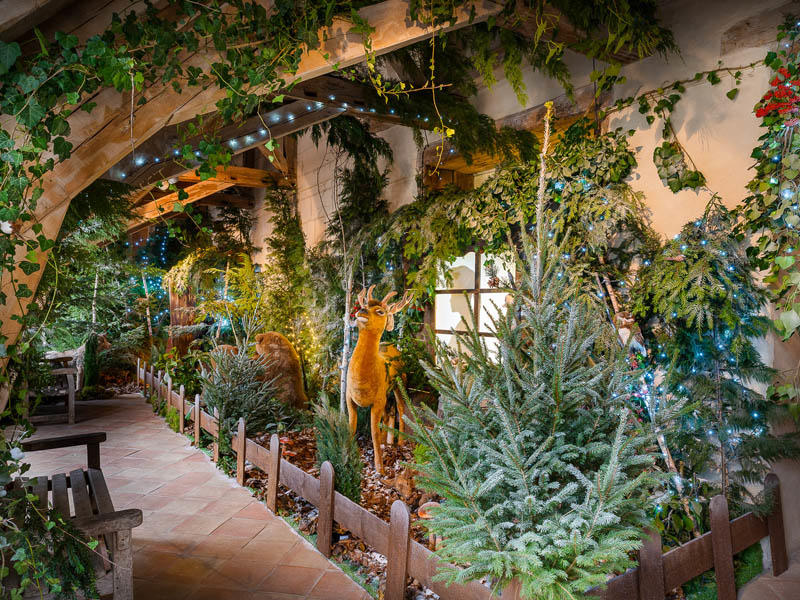 A Noël la nature s'invite au château !