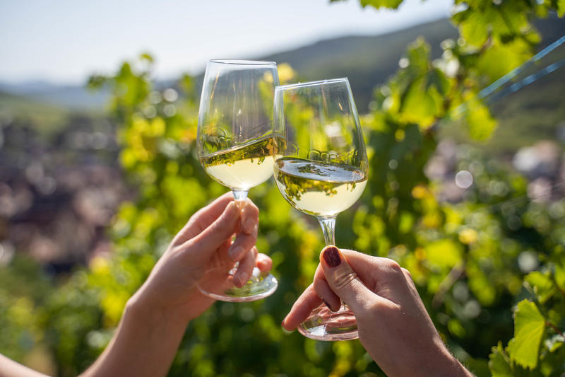 Pique-nique chez le Vigneron Indépendant d'Alsace