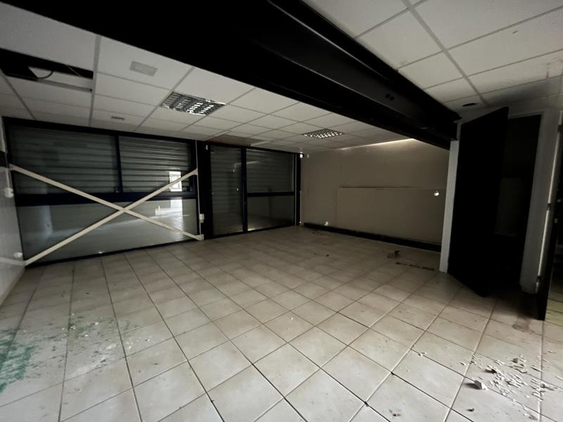 Bureau - 290 m² - 8 pièces