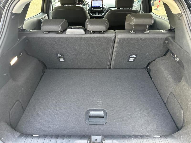 Ford Puma 1.0 Flexifuel 125 ch mHEV s&amp;S Bvm6 Titanium