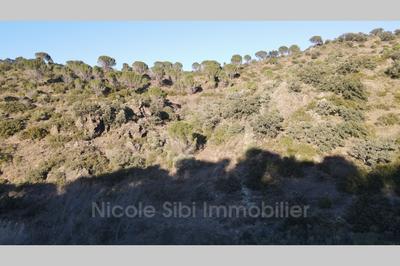 Terrain - 5 360 m²