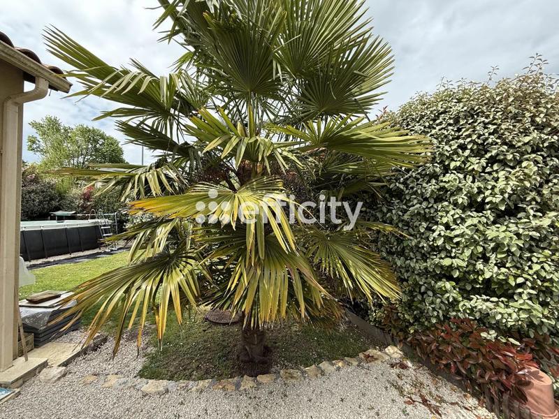 Maison - 117 m² - 5 pièces