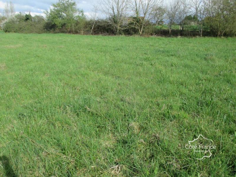 Terrain constructible - 3 000 m²