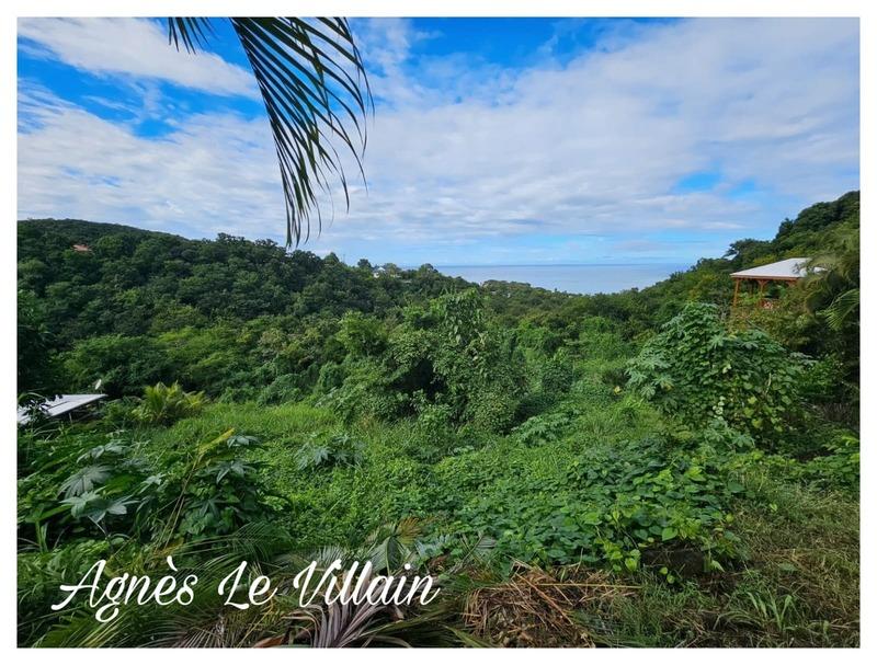 Terrain constructible - 7 664 m²