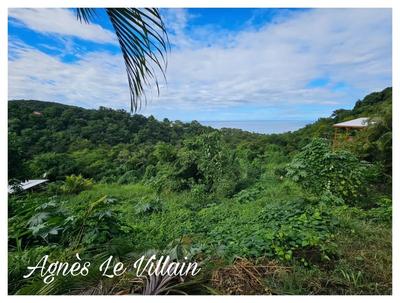 Terrain constructible - 7 664 m²