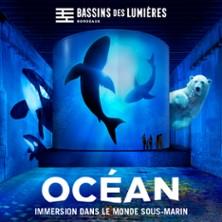 Bassins des Lumières - Expostions Océan + Cube The Giants et Greenpeace