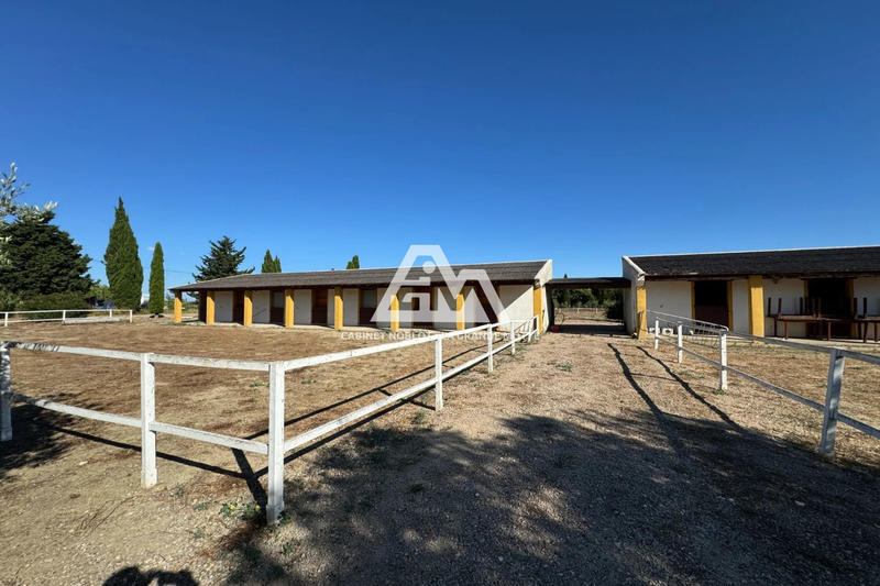 Terrain agricole - 11 000 m²