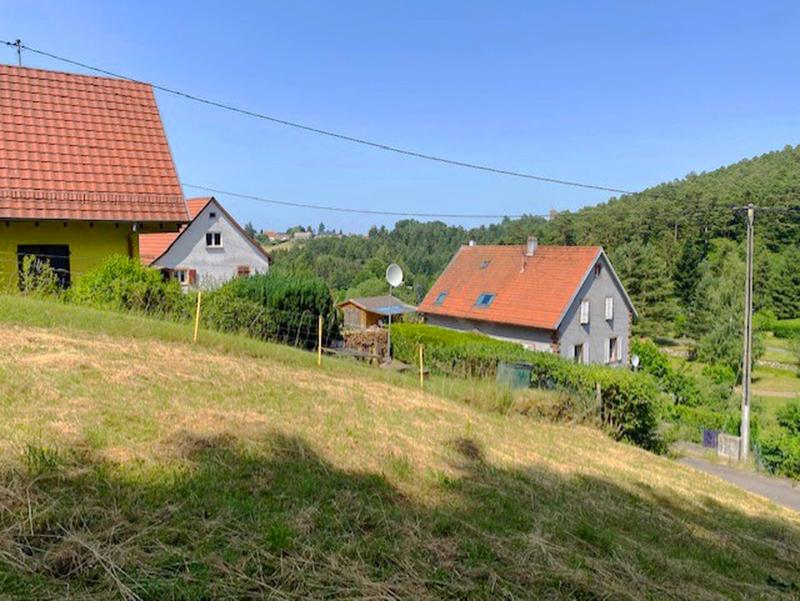Terrain - 4 293 m²