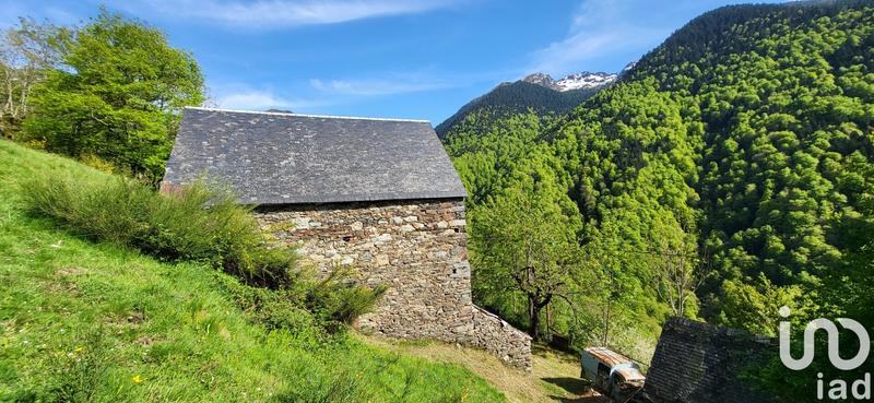 Maison de campagne - 100 m² - 3 pièces