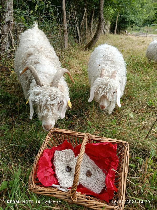Ateliers initiation de filage au rouet - 2 formules