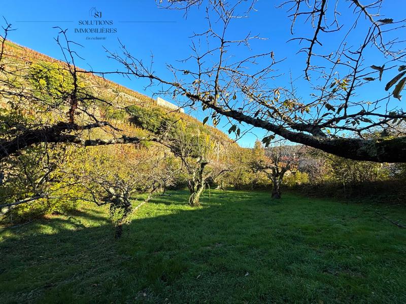 Terrain agricole - 705 m²