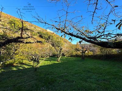 Terrain agricole - 705 m²