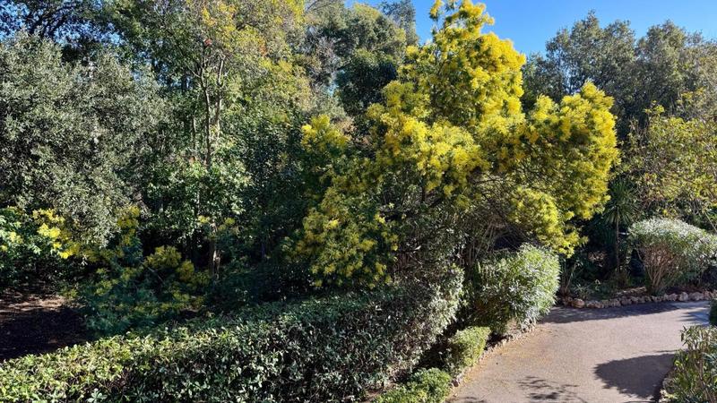 Appartement - 23 m² - 2 pièces