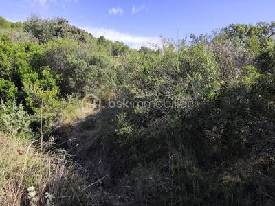 Terrain agricole - 2 420 m²