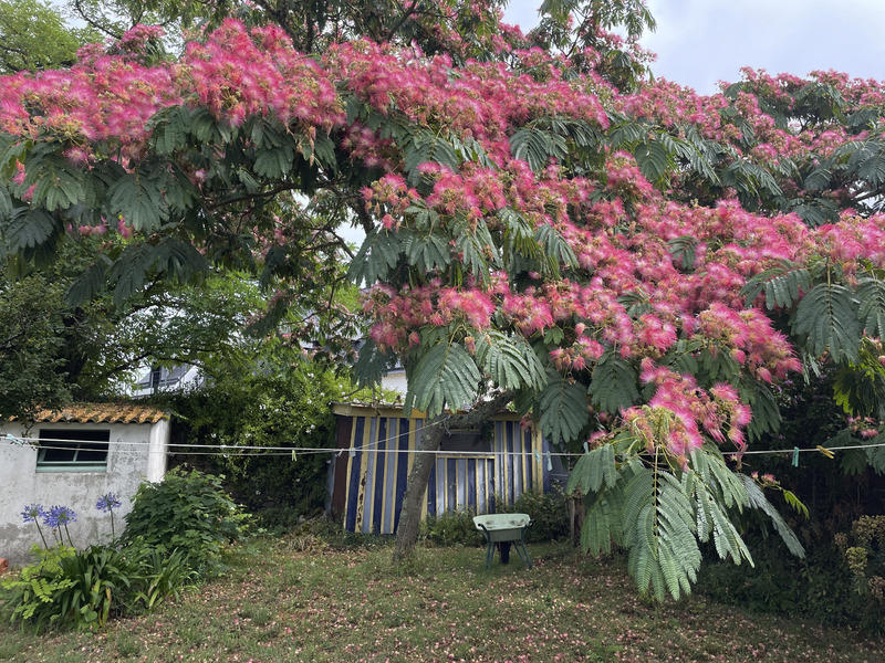 Maison - 124 m² - 6 pièces