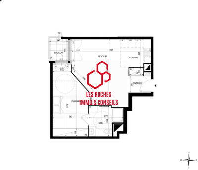 Appartement - 49 m² - 2 pièces