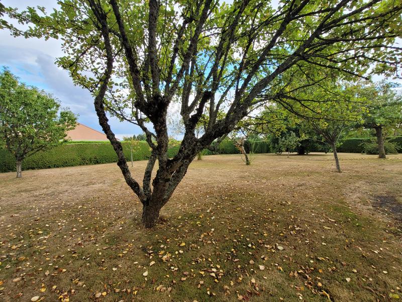 Maison - 130 m² - 8 pièces