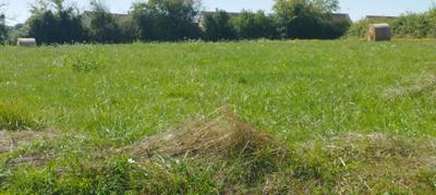 Terrain constructible - 4 000 m²