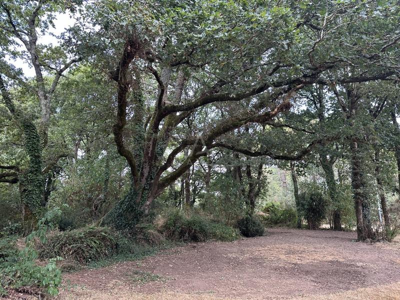 Maison - 88 m² - 5 pièces