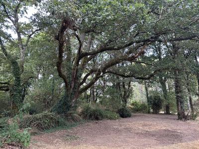 Maison - 88 m² - 5 pièces