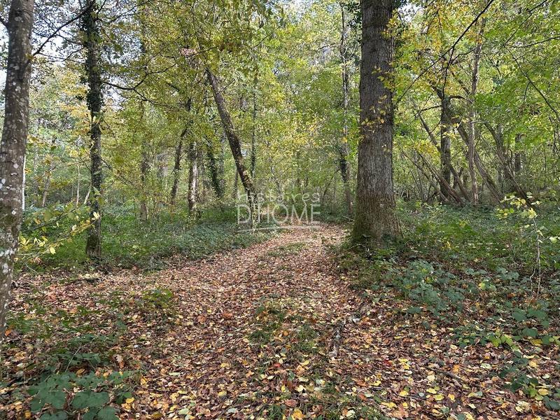 Terrain - 50 246 m²