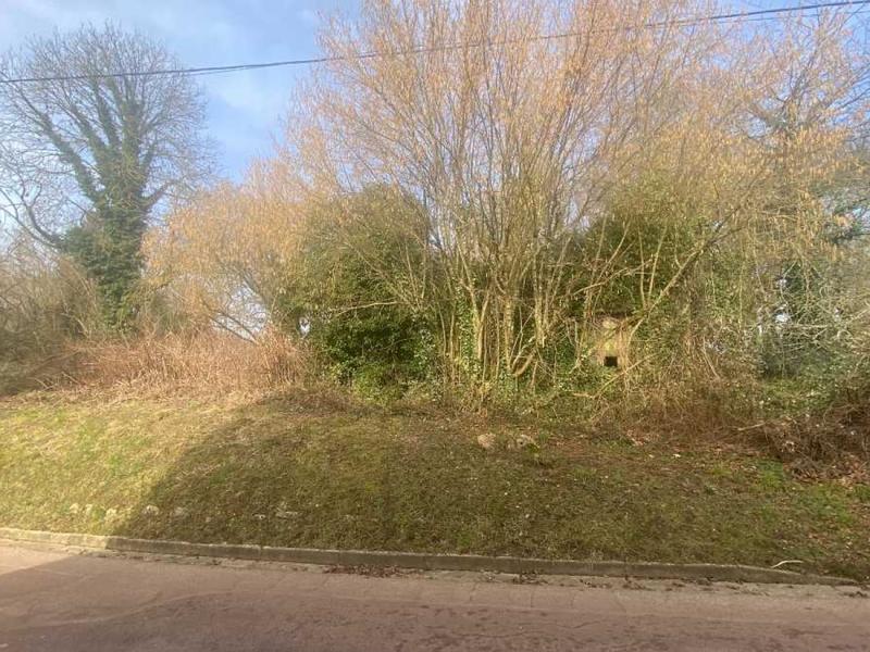 Terrain constructible - 2 674 m²
