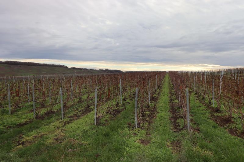 Terrain agricole - 2 001 m²