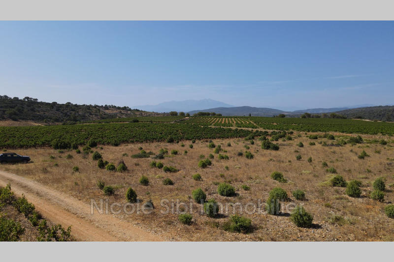 Terrain agricole - 10 255 m²