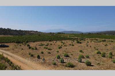 Terrain agricole - 10 255 m²
