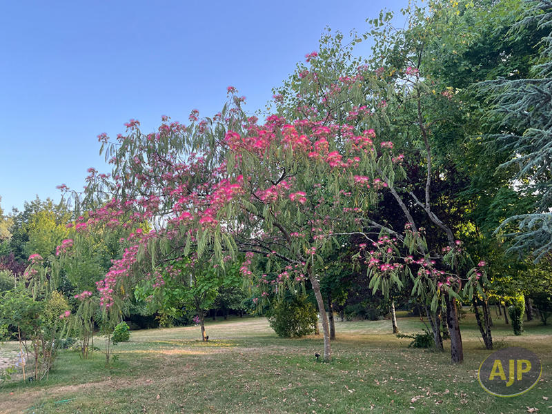 Maison - 186 m² - 6 pièces