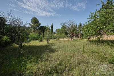 Terrain - 804 m²