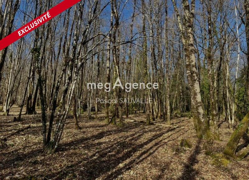 Terrain constructible - 4 560 m²