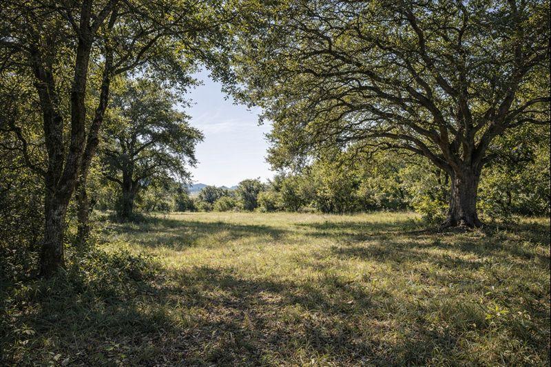 Terrain constructible - 1 064 m²