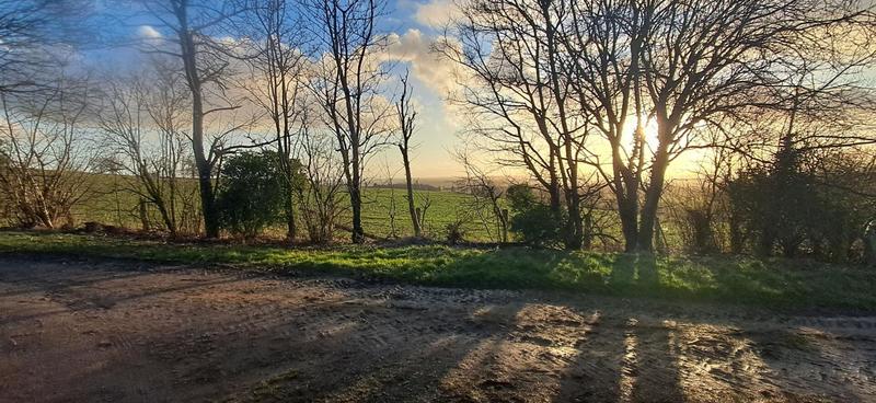 Corps de ferme - 300 m² - 6 pièces