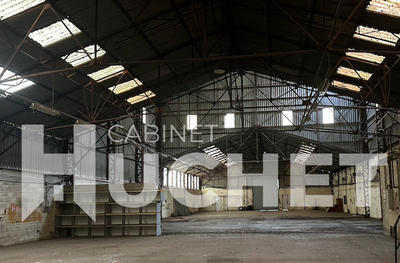 Local d'activité / Entrepôt - 2 450 m²
