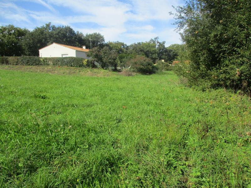 Terrain - 2 348 m²