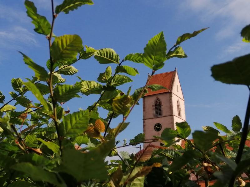 Escape Game : au fil de l'eau