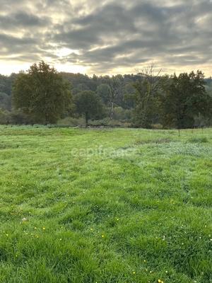 Terrain constructible - 8 600 m²