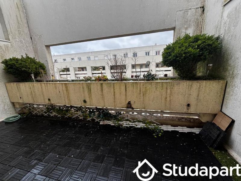 Appartement - 34 m² - 1 pièce